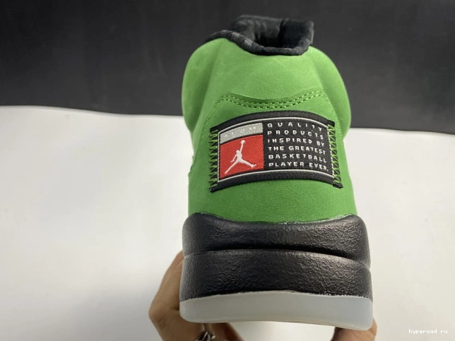 Jordan Oregon SE Air 5 CK6631-307 Ducks 1217